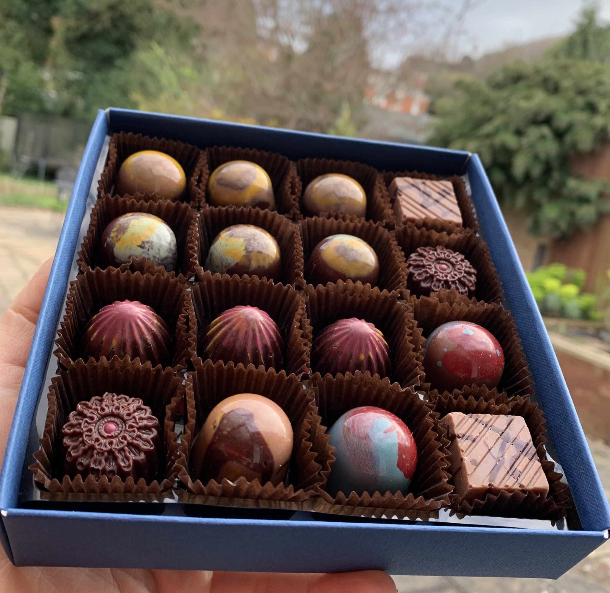 Box of 16 Shokoladi Malvern Bonbons